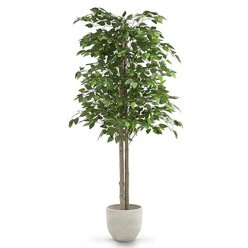 MAIA SHOP Ficus Artificial 150 cm con Tronco Natural, Planta Artificial Realista de Interior, Árbol Decorativo Grande para Hogar, Oficina, Hotel o Eventos