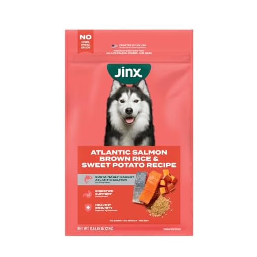 Jinx Premium Dry Dog Food, for All Lifestages - Real Salmon, Brown Rice & Sweet Potato Kibble with Superfoods for Immune Support & Probiotics for Digestive Support - No Fillers - 11.5lb