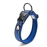 Chai's Choice - Premium Dog Collar - Soft, Padded, Reflective Dog Collar for Large, Medium, and...