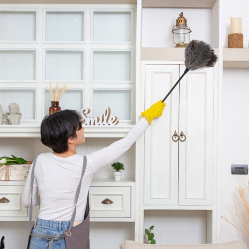 Image of iplusmile Ostrich Duster with Long Handle Lightweight Natural Cleaning Tool for Dusting Home Office Car Kitchen