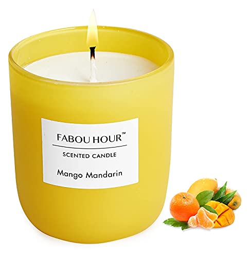 Fabou Hour Candles For Home Scented, 7.7Oz Mango Mandarin Aromatherapy Candles Scented With Long Lasting Burning, Highly Home Scented Candles For Stress Relief Relaxation, Jar Candle Gifts #TOP7
