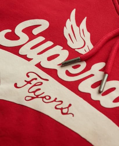 Sweatshirt à capuche Superdry Flyers Script - vue 6