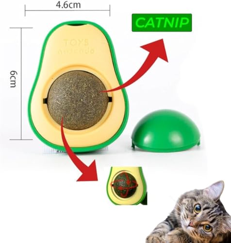 Kit 3 Brinquedo para Gato Tunel Abacate Bolinha Catnip Escova De Canto