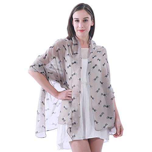 Lina & Lily Cavalier King Charles Spaniel Dog Print Women's Scarf Shawl Wrap Lightweight4