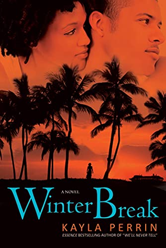 Winter Break: A Novel view 2