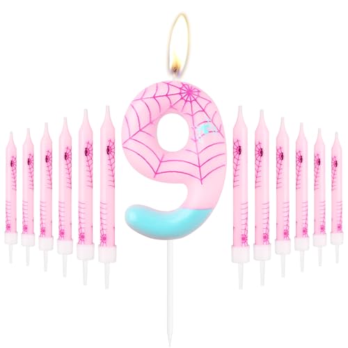 iNINGER Pink Birthday Candle,Number 9 Candles,Happy 9th Birthday Cake Candles,Macaroon Candles for Cake,Spider Cake Candles Topper,Pink Spider Theme Party Candles for Boys Girls Birthday Decoration