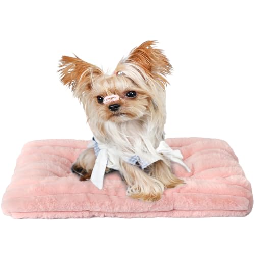 Extra Small Dog Crate Pad 18 x 12 Dog Beds for Tiny Dogs