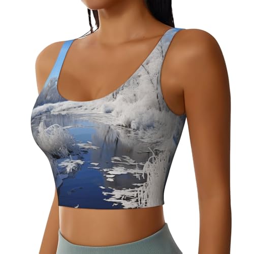 Soutien-gorge de sport pour femme sans frottement débardeur de fitness