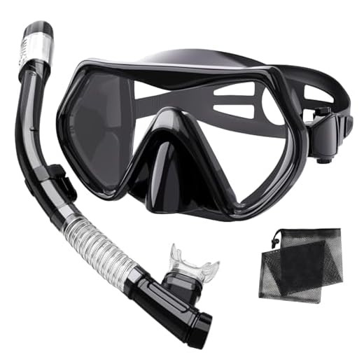 Adult Dry-Top Snorkel Set