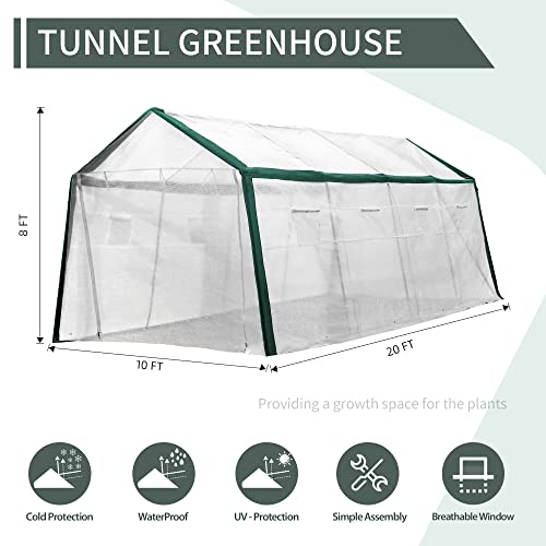 Meetleisure Walk-In Tunnel Greenhouse, A-Shape Top Outdoor Greenhouse With Transparent Cover, Backyard Greenhouse Heavy Duty, 8 Roll-Up Side Windows Reserved #TOP1