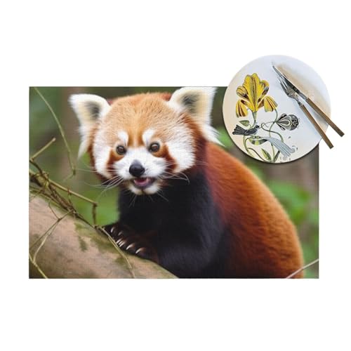 Set de table antidérapant et thermorésistant motif petit panda rouge - 7