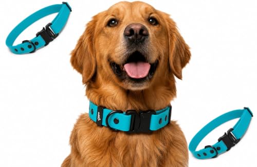 Image of Adil's Biothane Waterproof Dog Collar, Dog Leash & Collar Leash Combo | Heavy Duty TPU Coated Webbing | Adjustable Quick Release Buckle | Odour Resistant (Light Sky, M-18, Collar only)