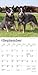 Blue Heelers | 2026 7 x 14 Inch (Hanging) Monthly Mini Wall Calendar | BrownTrout | Animals Dog Breeds