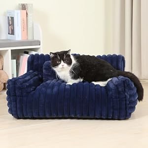 Cama extra ancha esponjosa para gatos, cama para perros pequeños con almohada en forma de hueso, sofá antiansiedad para mascotas con funda lavable, color azul