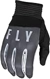 Fly Racing