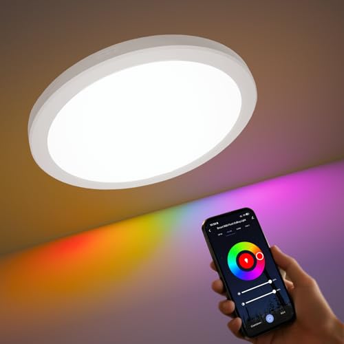 12 Inch Smart Ceiling Light, 2400LM Dimmable Flush Mount