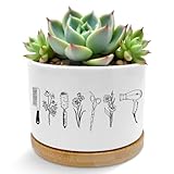 ROXMART Hairdresser Gifts Plant Pots, Hair Stylist Dresser Gifts for Women Succulent Planters, Hairstylist Gift Ceramic Plant Flower Pots for Home Office Desk Table Shelf(No Plants)