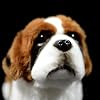 Realistic Saint Bernard Dog Plush Toy, Simulation Standing Pet 12 inch Saint Bernard Dog Stuffed Animal Puppy Model Toy, Unique Plush Gift Collection for Kids Birthday, Home Decor