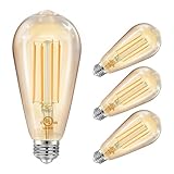 DAYBETTER 4 Pack Vintage LED Edison Bulbs, E26 Led...