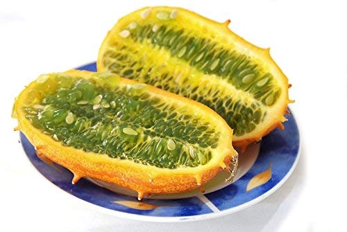 Kiwano, semillas de melón cornudo - Cucumis metuliferus Cover