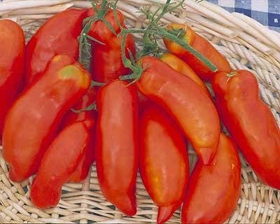 CRTGW30 semillas de Súper de Pasta Italiana Pasta de tomates