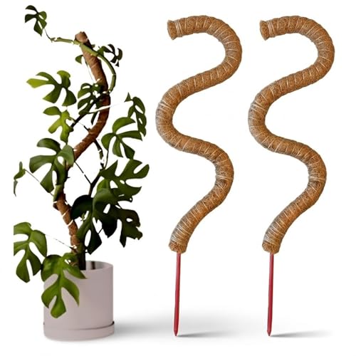 Image of Garden Art 90cm Tall Bendable Moss Stick /Coir Pole for Plants Monstera, Coco Coir Moss Poles for Climbing Plants | Plant Support Extension to Grow Upwards GABCP-90 (90cm Pack of 2)