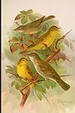 Bird Portrait Art Notebook: Paperback Journal 6x9, Original Portrait Art Cover Design, Perfect Gift for Art Lovers.