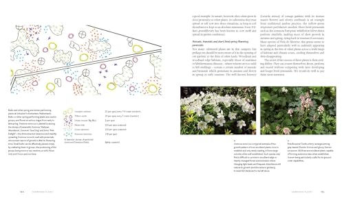 Planting: A New Perspective