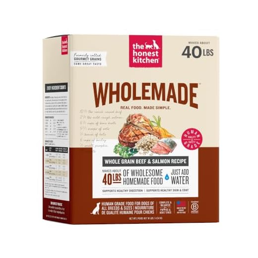 The Honest Kitchen Human Grade Wholemade™ Dehydrated Dog Food, Whole Grain Beef & Salmon, 10 lb (makes 40lbs)