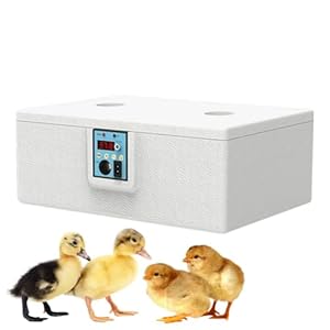 Hugsweet 42 Eier Inkubator NLIA Serie