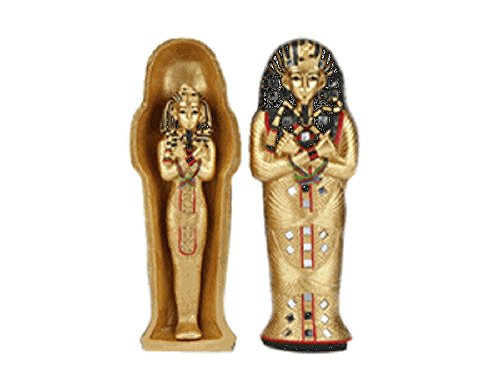 WB Pharoh's Tomb Sarcophagus with Mummy- 3 Piece Set