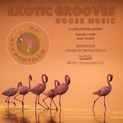 Exotic Grooves 09