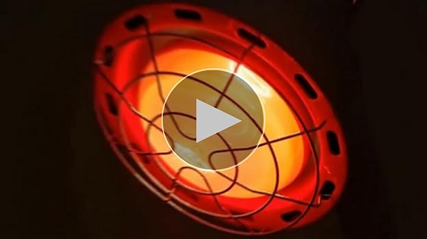Amazon.com: YEAOI Heat Lamp for Chickens Coop Brooder and