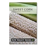 Sow Right Seeds - Country Gentleman Sweet Corn Seeds for Planting - Non-GMO Heirloom Corn for Home Gardens - High Yield Variety - Plant a Home Vegetable Garden - Shoe Peg Kernel Pattern (1)