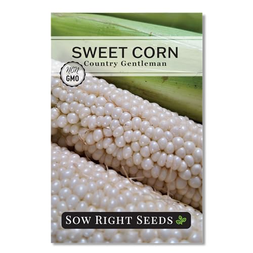 Sow Right Seeds - Country Gentleman Sweet Corn Seeds for