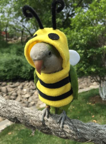 Image of Bird Costume Diaper Flight Suit Bee Shape Clothes Cosplay Photo Prop for Parrots Lovebird Budgie Parakeet Cockatiel Sun Conure, Small Animals Apparel (Bee Without Diaper, Medium), Green (BPF1)