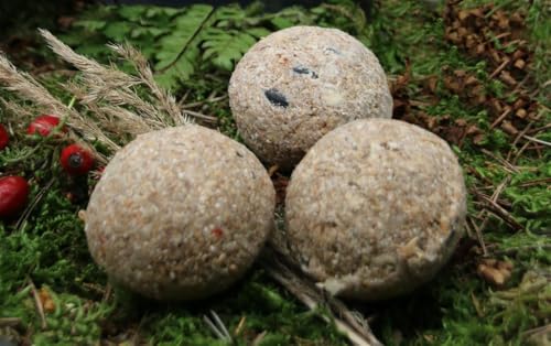 Anhaltiner Meisenknödel 200St. ohne Netz mit Insekten Rindertalg Wildvögel Fett