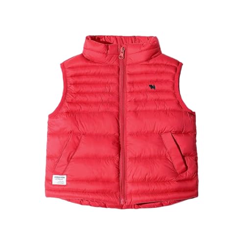 Kids Puffer Vest Lightweight Fashion Cute Graphic Sleeveless Down Jacket for Boys Zipper Up Waistcoat Winter Clothes