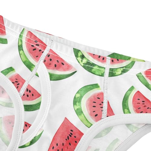 Wusikd Watercolor Red Boys' Underwear Cotton Red Watermelon Boys Briefs Soft Toddler Underwear 2T4