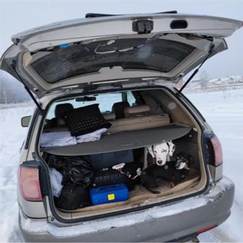 Vérins à gaz pour hayon Lexus RX300 RX350 en carbone bleu