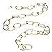Westinghouse Lighting 7007000 One Yard Oval Swag Chain