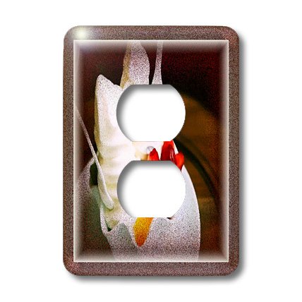 Coque pour 2 prises de courant motif yaourt 3dRose cache-prise double décoratif