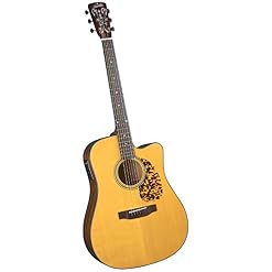Blueridge BR-140CE Guitare acoustique - Les Beatles, Paul McCartney, John Lennon, RIngo Starr, George Harrison