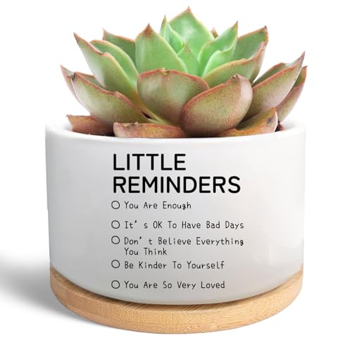 WSLCHOVE Inspirational Office Desk Decor Gifts for Coworker, Funny Succulent Plant Pot, Ceramic Flower Cactus Planter, Positive Gifts for Coworkers Boss Women Friends (Plants Not Included)