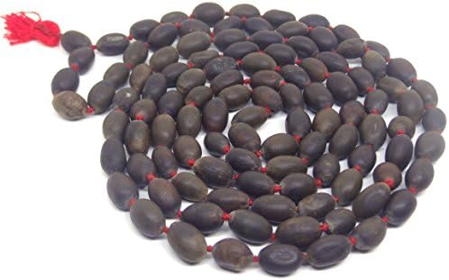Himalaya Rudraksh KendraRudraksha Kamal Gatta Lotus Seeds Prayer Rosary Japamala - Lakshmi Puja Standard Black