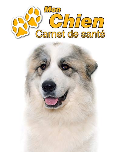 Mon Chien Carnet de santé: Montagne des Pyrénées | 109 pages 22cm x 28cm | Cahier a Remplir | Vac PDF