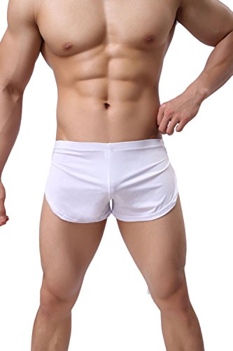 sandbank Mens Sexy Transparent Underwear Sheer Bikini Boxer Shorts Brief Panties4