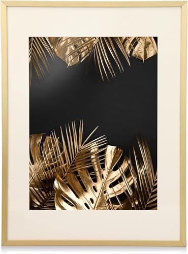 11 x 14 ubNA~jEʐ^t[1Zbg t[KX }bgt  EH[fBXvCp ~j}XgfUC A~jE KX MtgKp (S[h,12x16)