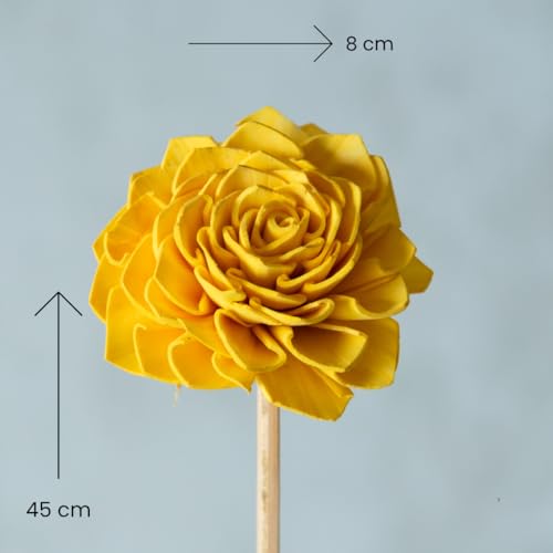 Image of Yellow Sola Bingo Flower Sticks (10 Sticks) | Natural Dried Flower | Eco-Friendly Home, Office, Bedroom, Table Decoration and Craft Items Corner