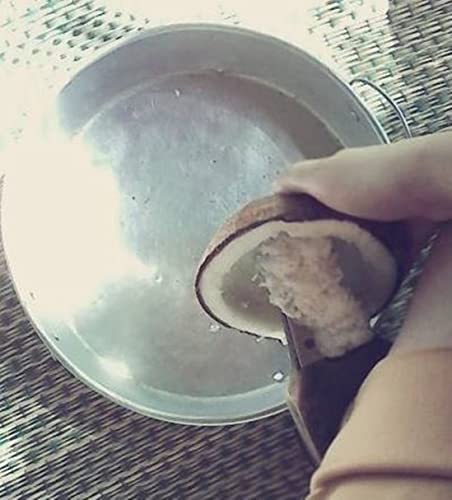 Dolphin Shop, Coconut Scraper Shredder Grater Teeth Tool Stainless Steel Grater Manual Kitchen For Kitchen Indoor Outdoor Set Of 12 Pcs With 36 Screws #TOP3